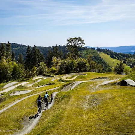 Апартаменты Mit Balkon Im In *